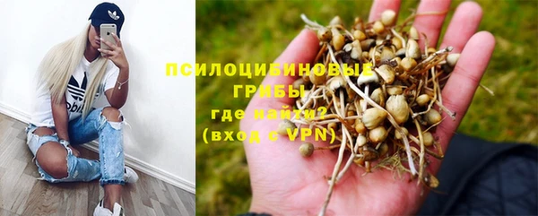 амфетамин Алексеевка
