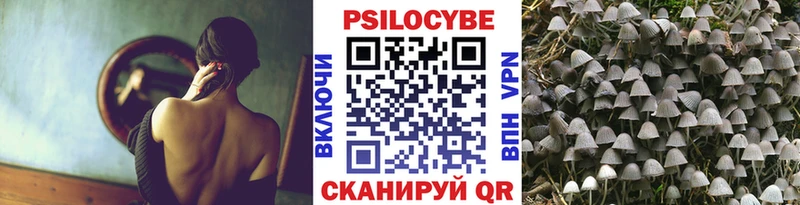 Псилоцибиновые грибы прущие грибы Шадринск